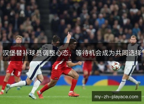 汉堡替补球员调整心态，等待机会成为共同选择
